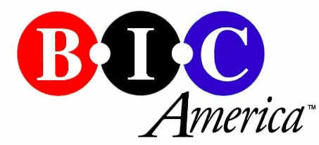 BIC Logo